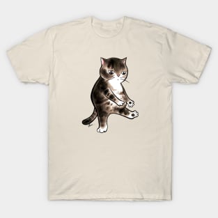 Fat cat aerobic dance T-Shirt